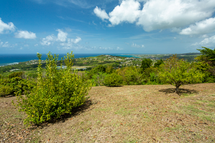 Explore - Tobago